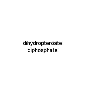 dihydropteroate diphosphate